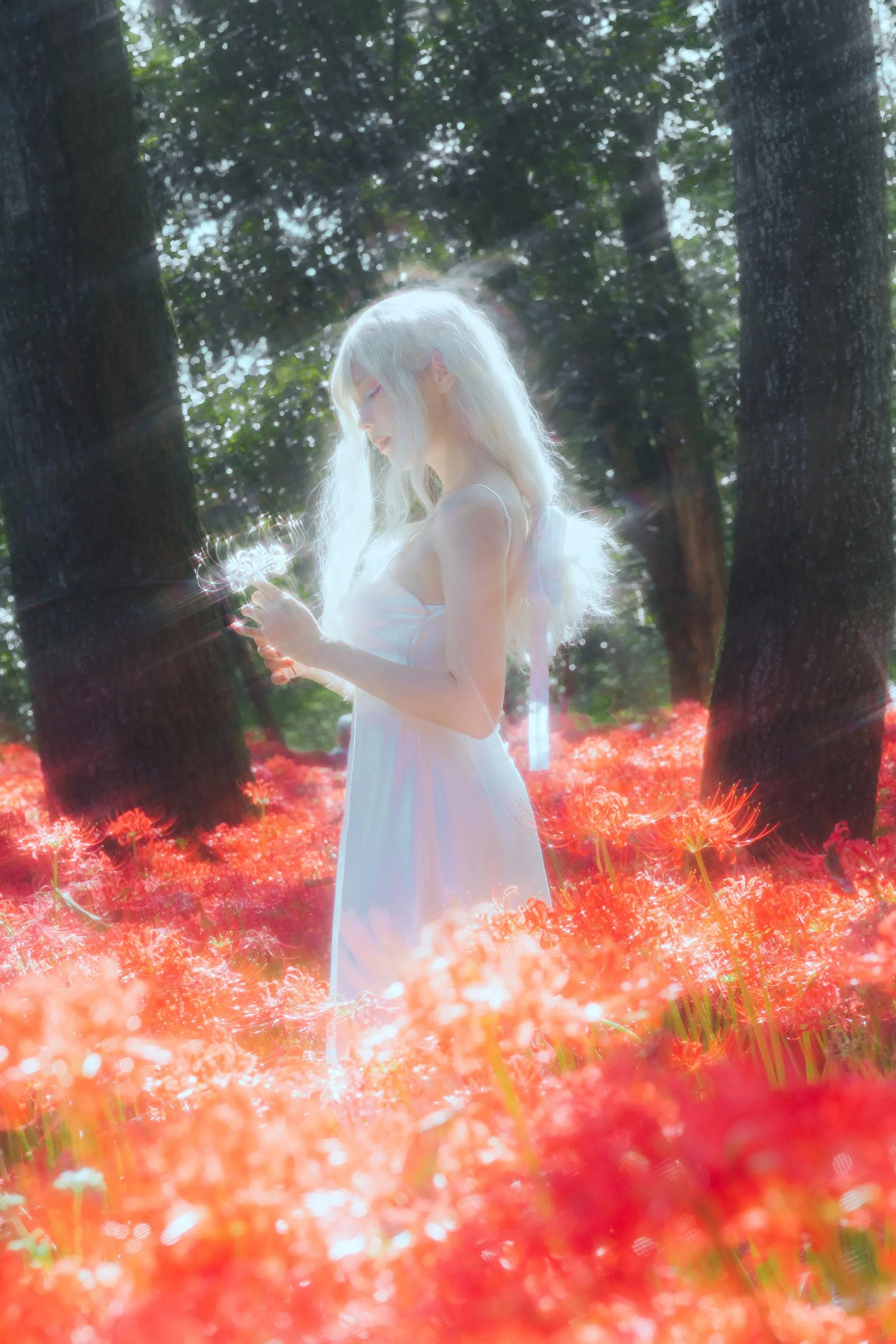 ElyEE子 – NO.129 23年10月订阅-B-White spider lily 白瓷彼岸 [27P]插图6